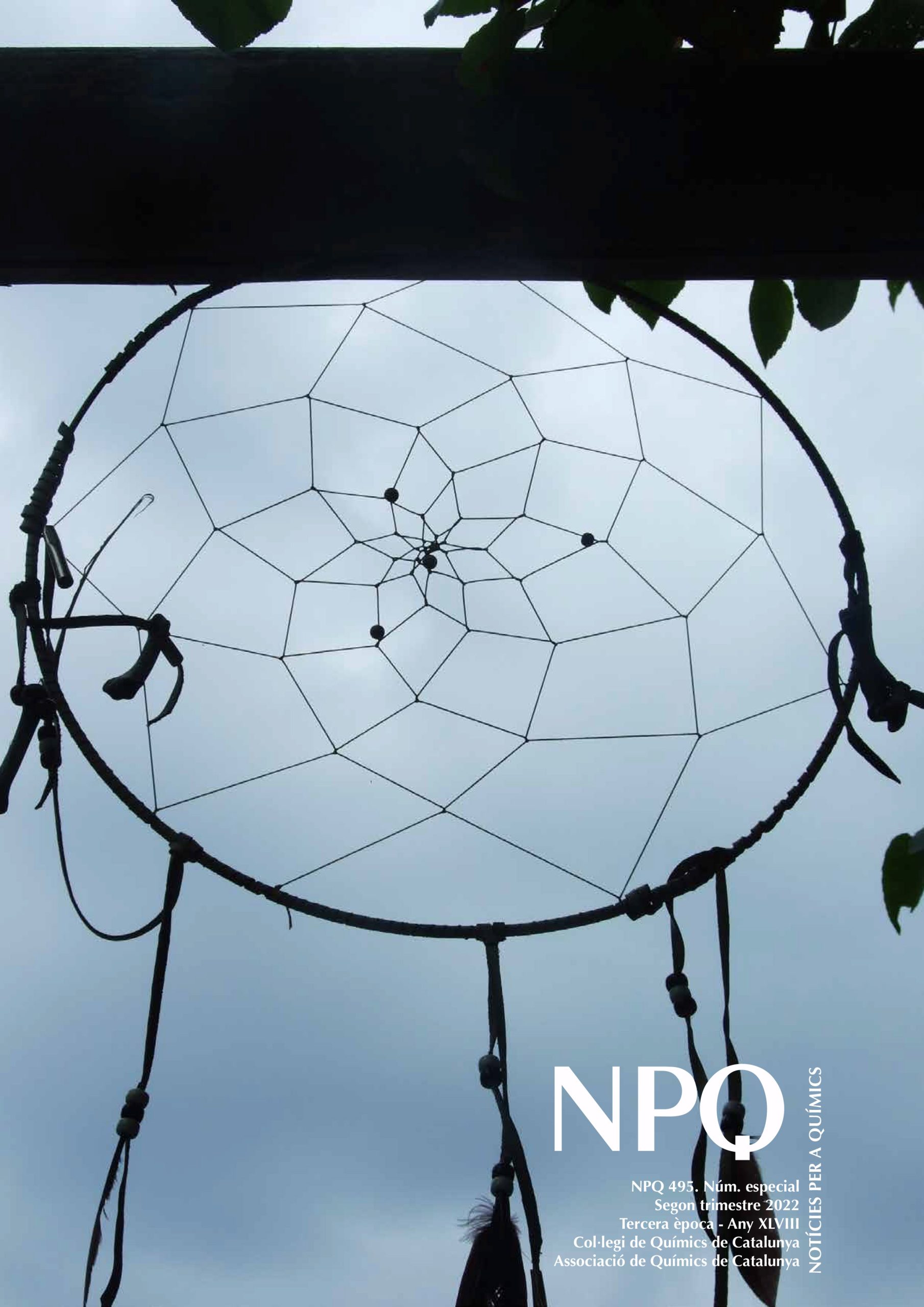 NPQ 495 / 2022