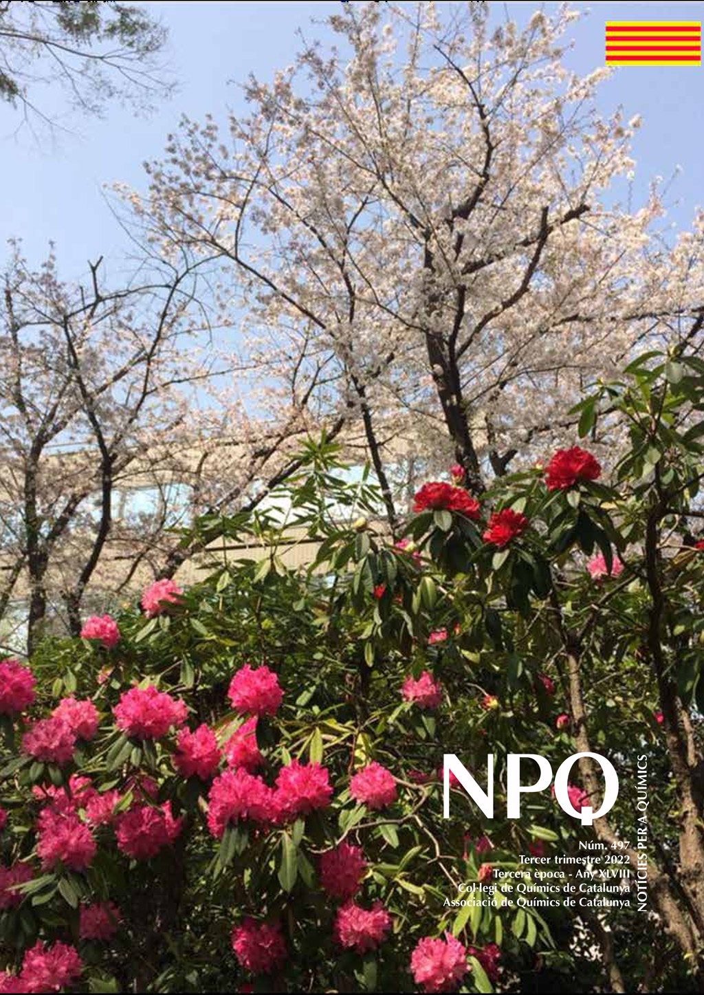 NPQ 497 / 2022