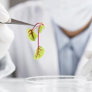 Bioquímica i nutrició
